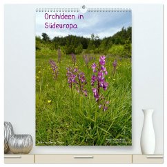 Orchideen in Südeuropa (hochwertiger Premium Wandkalender 2025 DIN A2 hoch), Kunstdruck in Hochglanz - Calvendo;Trapp, Benny