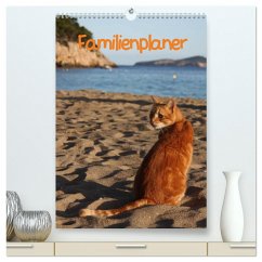 Familienplaner Katzen (hochwertiger Premium Wandkalender 2025 DIN A2 hoch), Kunstdruck in Hochglanz - Calvendo;Lindert-Rottke, Antje