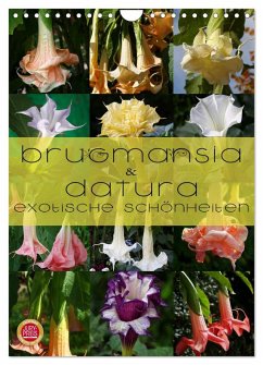 Brugmansia & Datura - Exotische Schönheiten (Wandkalender 2025 DIN A4 hoch), CALVENDO Monatskalender - Calvendo;Cross, Martina