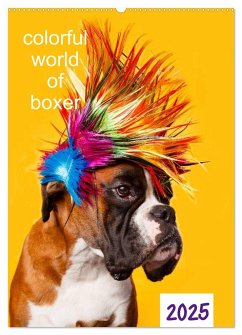 colorful world of boxer 2025 (Wandkalender 2025 DIN A2 hoch), CALVENDO Monatskalender