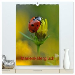 Marienkäferglück (hochwertiger Premium Wandkalender 2025 DIN A2 hoch), Kunstdruck in Hochglanz - Calvendo;Herppich, Susanne