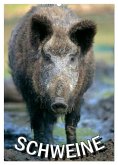 Schweine 2025 (Wandkalender 2025 DIN A2 hoch), CALVENDO Monatskalender