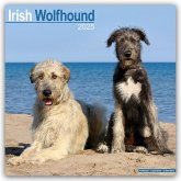 Irish Wolfhound - Irischer Wolfshund 2025 - 16-Monatskalender
