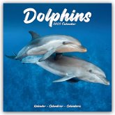 Dolphins - Delfine - Delphine 2025 - 16-Monatskalender
