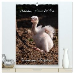Nandu, Emu & Co. (hochwertiger Premium Wandkalender 2025 DIN A2 hoch), Kunstdruck in Hochglanz