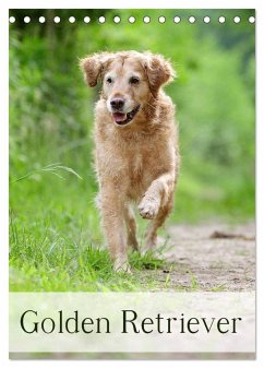 Golden Retriever (Tischkalender 2025 DIN A5 hoch), CALVENDO Monatskalender - Calvendo;Noack, Nicole