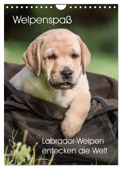 Welpenspaß - Labrador Welpen entdecken die Welt (Wandkalender 2025 DIN A4 hoch), CALVENDO Monatskalender