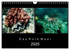 Das Rote Meer ¿ 2025 (Wandkalender 2025 DIN A4 quer), CALVENDO Monatskalender