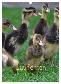 Laufenten (Wandkalender 2025 DIN A3 hoch), CALVENDO Monatskalender - Calvendo;LoRo-Artwork