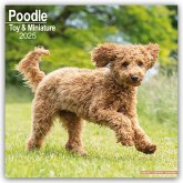 Toy and Miniature Poodle - Toypudel und Zwergpudel 2025 - 16-Monatskalender