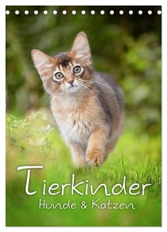 Tierkinder Hunde und Katzen (Tischkalender 2025 DIN A5 hoch), CALVENDO Monatskalender