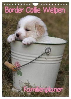 Border Collie Welpen - Familienplaner (Wandkalender 2025 DIN A4 hoch), CALVENDO Monatskalender - Calvendo;Lindert-Rottke, Antje