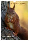 Eichhörnchen (Wandkalender 2025 DIN A4 hoch), CALVENDO Monatskalender