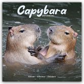 Capybara - Wasserschwein 2025 - 16-Monatskalender