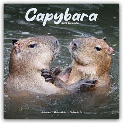 Capybara - Wasserschwein 2025 - 16-Monatskalender - Avonside Publishing Ltd