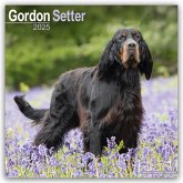 Gordon Setter 2025 - 16-Monatskalender