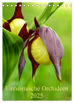 Einheimische Orchideen (Tischkalender 2025 DIN A5 hoch), CALVENDO Monatskalender