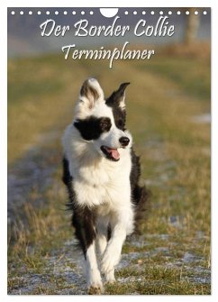 Der Border Collie Terminplaner (Wandkalender 2025 DIN A4 hoch), CALVENDO Monatskalender - Calvendo;Lindert-Rottke, Antje