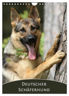 Deutscher Schäferhund (Wandkalender 2025 DIN A4 hoch), CALVENDO Monatskalender - Calvendo;Steininger, Claudia