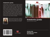 Endodontie guidée