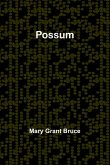 Possum