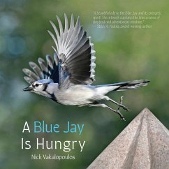 A Blue Jay is Hungry - Vakalopoulos, Nick