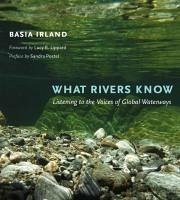 What Rivers Know - Irland, Basia