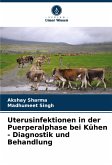 Uterusinfektionen in der Puerperalphase bei Kühen - Diagnostik und Behandlung
