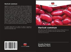 Haricot commun - Paulose, Zewdie;Alaro, Agegnehu