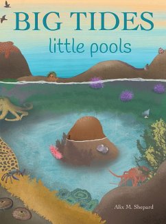 Big Tides Little Pools - Shepard, Alix Mae