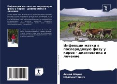 Cover Infekcii matki w poslerodowuü fazu u korow - diagnostika i lechenie