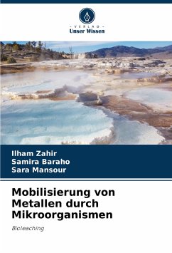 Mobilisierung von Metallen durch Mikroorganismen - Zahir, Ilham;Baraho, Samira;Mansour, Sara