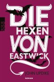 Die Hexen von Eastwick (eBook, ePUB)