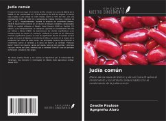 Judía común - Paulose, Zewdie; Alaro, Agegnehu