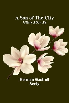 A Son of the City; A Story of Boy Life - Gastrell Seely, Herman