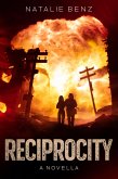 Reciprocity (eBook, ePUB)