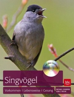 Singvögel, m. Audio-CD (Mängelexemplar) - Lohmann, Michael
