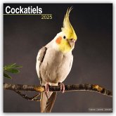 Cockatiels - Nymphensittiche 2025 - 16-Monatskalender