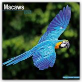 Macaws - Ara-Papageien - Aras 2025 - 16-Monatskalender