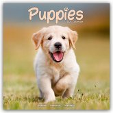 Puppies - Welpen 2025 16-Monatskalender