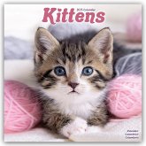 Kittens - Kätzchen 2025 - 16-Monatskalender