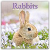 Rabbits - Kaninchen 2025 - 16-Monatskalender