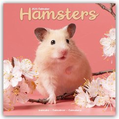 Hamsters - Hamster 2025 - 16-Monatskalender - Avonside Publishing Ltd
