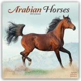 Arabians - Araber - Araber Pferde 2025 - 16-Monatskalender