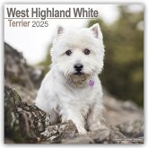 West Highland White Terrier - Westies 2025 - 16-Monatskalender