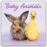 Baby Animals - Tierbabys 2025 - 16-Monatskalender