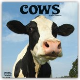 Cows - Kühe 2025 - 16-Monatskalender