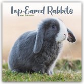 Lop-eared Rabbits - Widderkaninchen 2025 - 16-Monatskalender