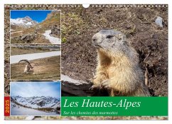 Les Hautes-Alpes sur les chemins des marmottes (Calendrier mural 2025 DIN A3 vertical), CALVENDO calendrier mensuel - Gaymard, Alain