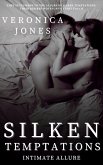 Silken Temptations (eBook, ePUB)